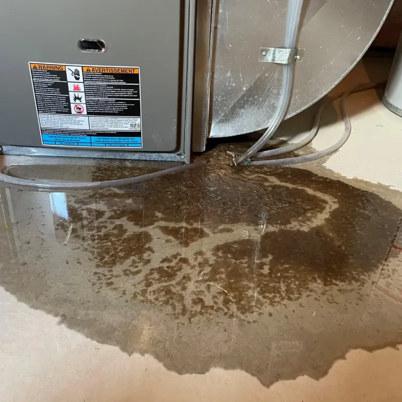 Appliance Leak Cleanup in Ketchum, ID